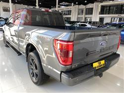 فۆرد F-150